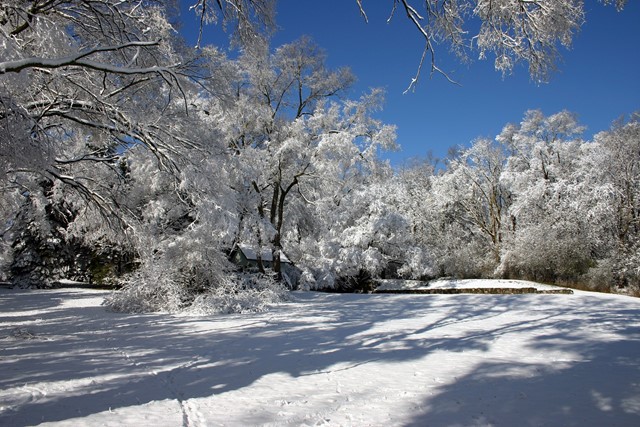 Winters landschap