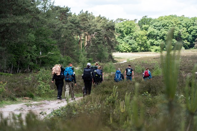 afbeelding van wandelaars op de Dutch Mountain Trail.