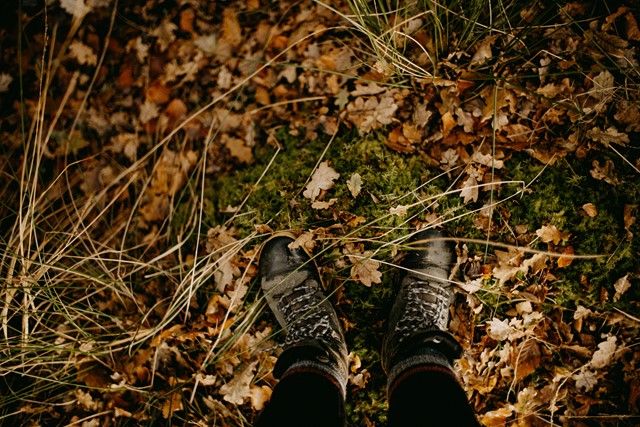 Annie Spratt Elnwfk Iahk Unsplash