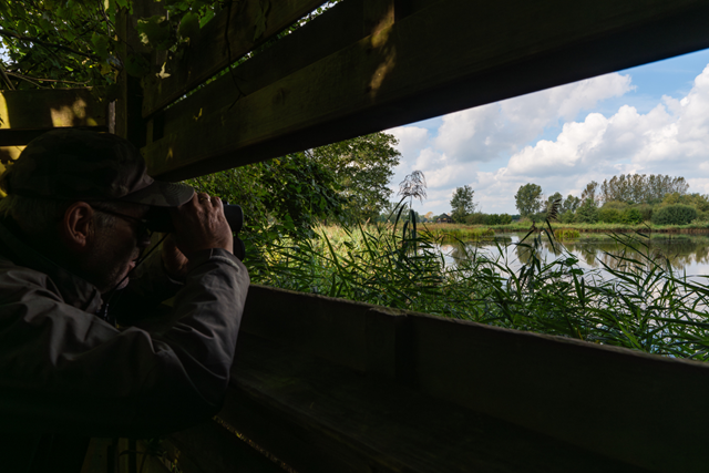 Wandelroute Belgie, Belgisch Limburg Kempenbroek Toplocatie Voor Vogelliefhebbers