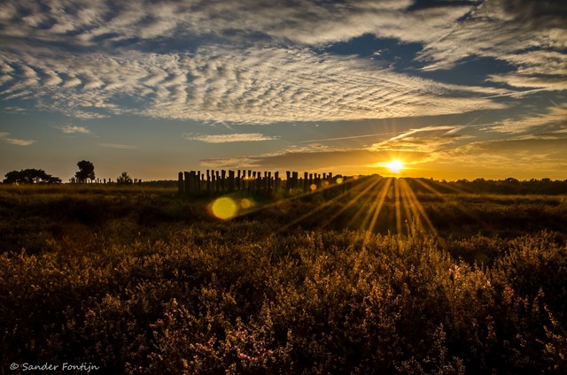 De Regte Heide