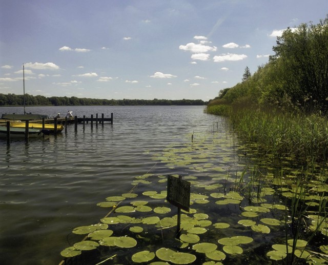 Maarsseveense Plassen