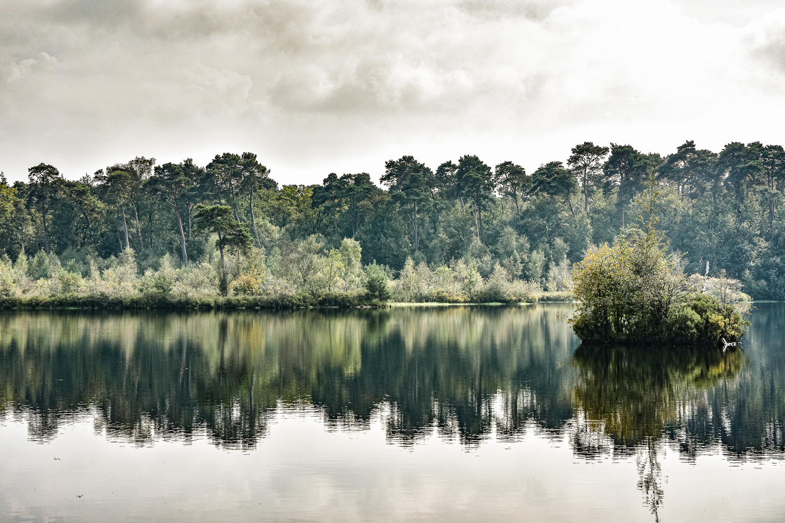 bomen spiegelen in het water.