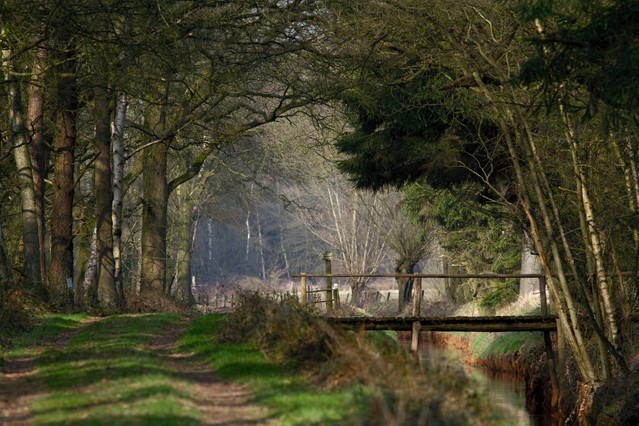 Natuurgebied Pannenhoef