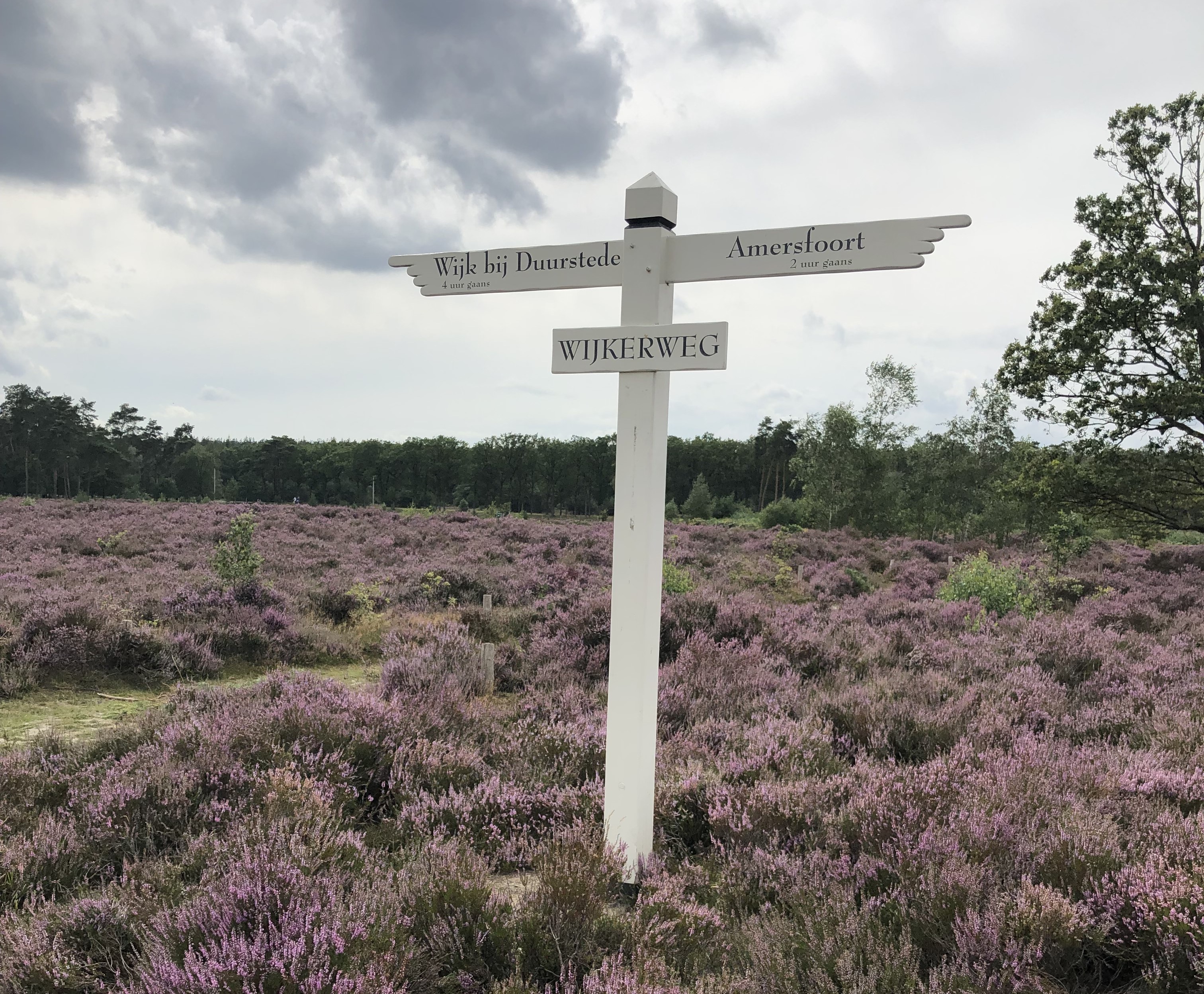 Wegwijzer op het Gelukkigerwijspad
