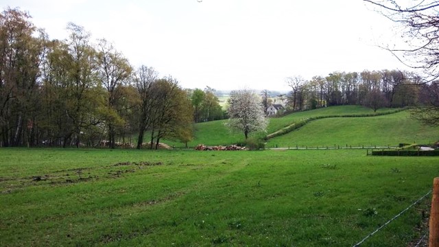 Landschap | Weiland