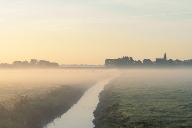 afbeelding van mist in een landschap met een grasveld en een beekje.