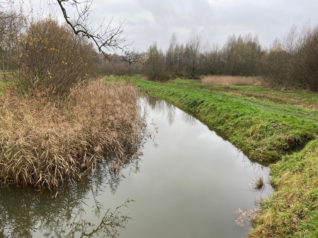 afbeelding van een beekje onderweg