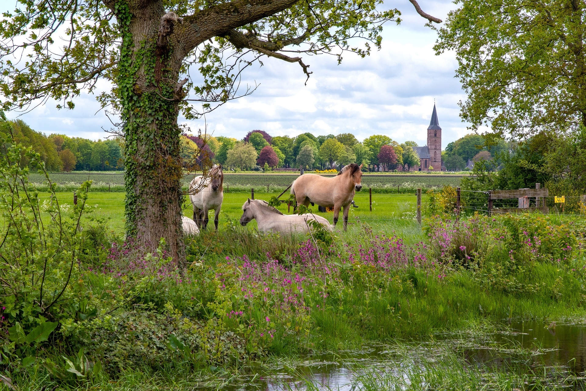 Pieterpad Zachtleven Fotografie, Pixabay