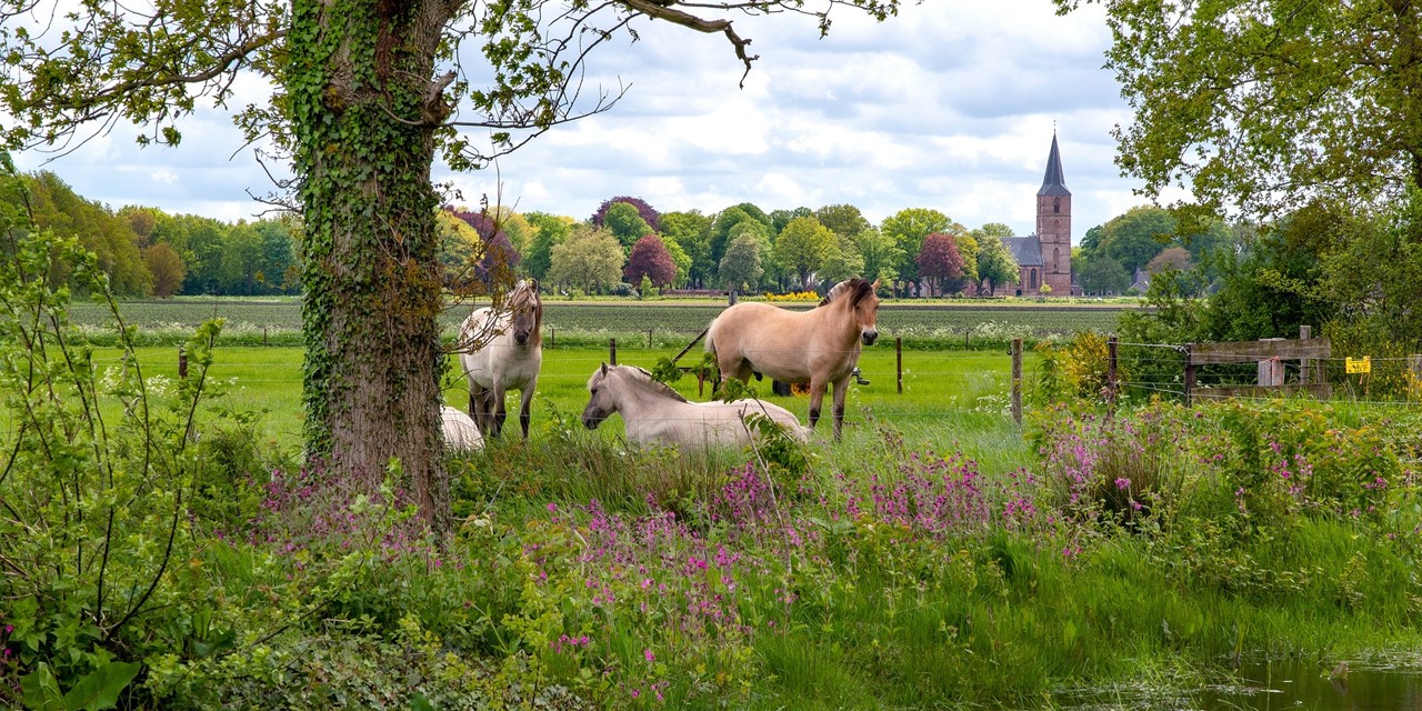 Pieterpad Zachtleven Fotografie, Pixabay