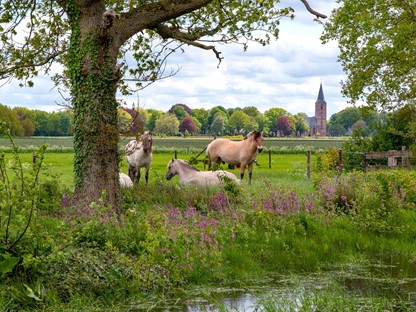 Pieterpad Zachtleven Fotografie, Pixabay