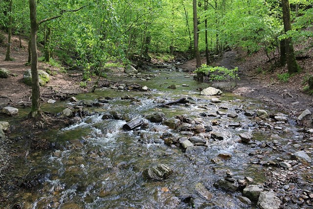 Wandelvakantie Met De Camper Ninglinspo