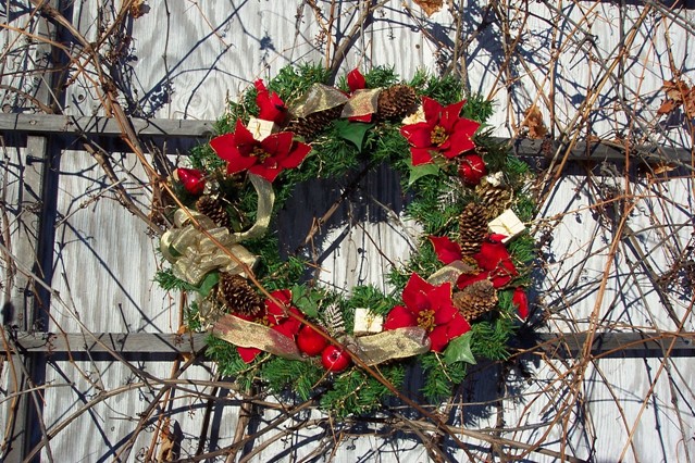 Afbeelding 2 | Wandeltips voor je kerstvakantie 1