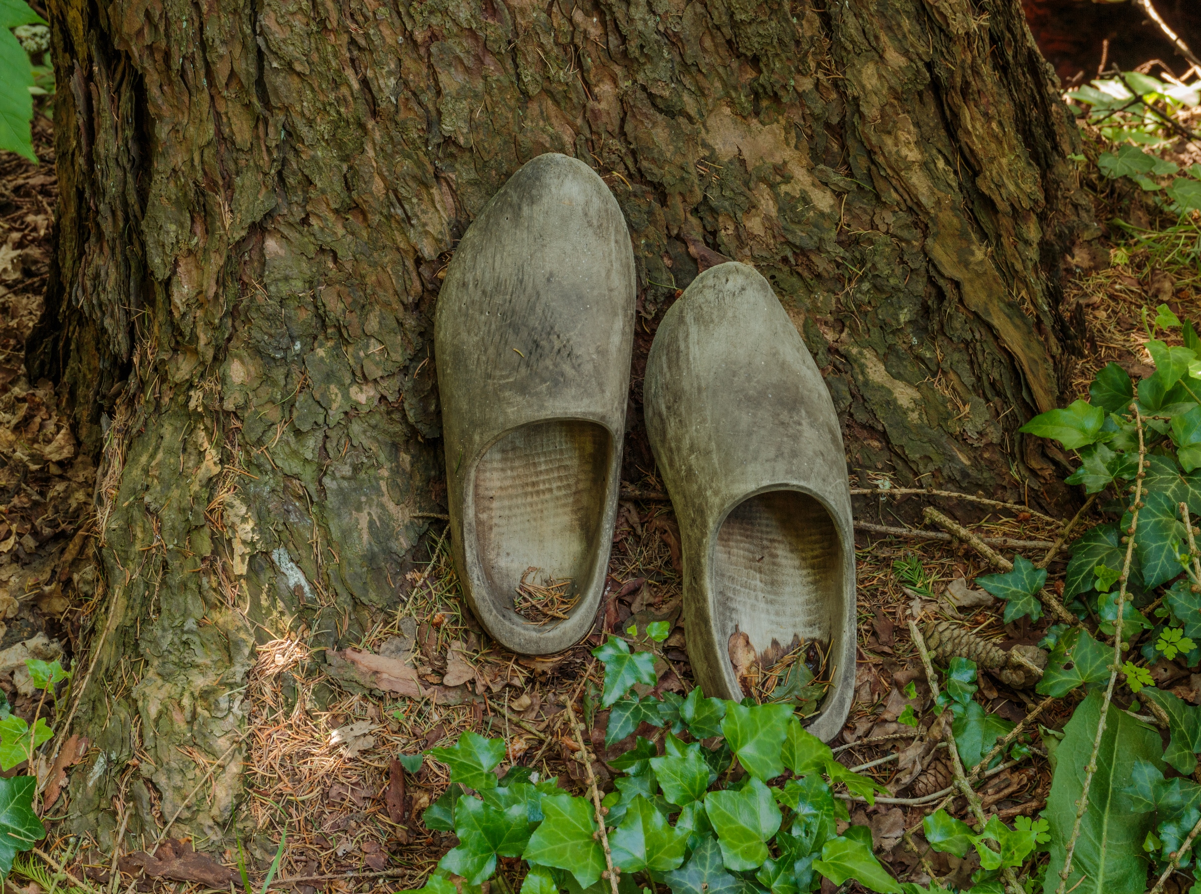 klompenpaden gelderland