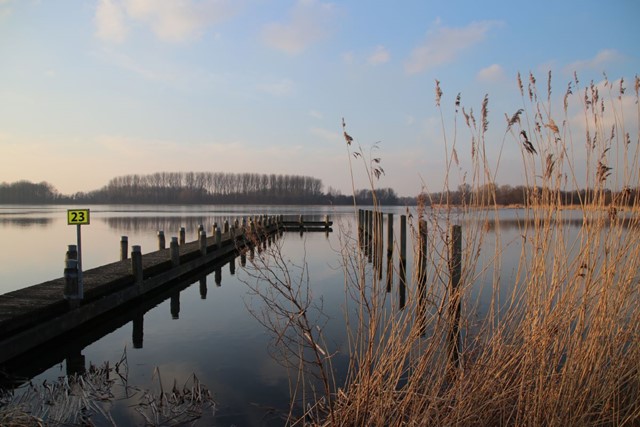 Groene Hartpad; Rotte