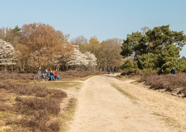afbeelding van wandelaars en fietsers op de heide