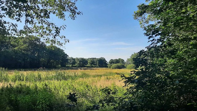 afbeelding van de natuur in het Ooievaarsnest bij Goirle