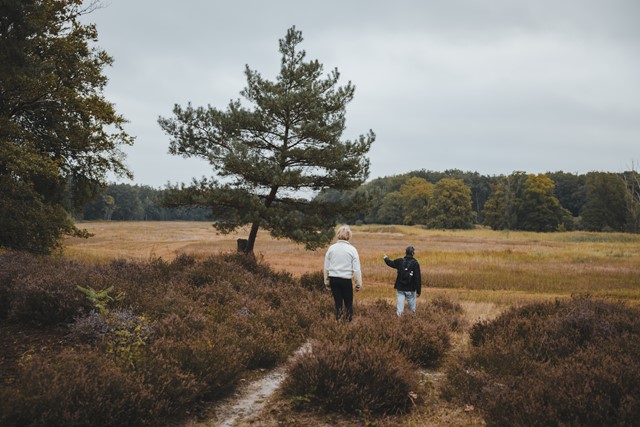 Wandelen in het Hart van Limburg