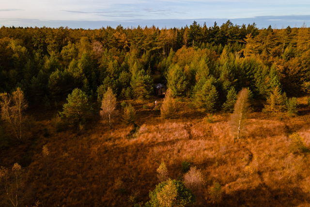 Wandelroute Drentsche Aa Oerlandschap Van Gogh