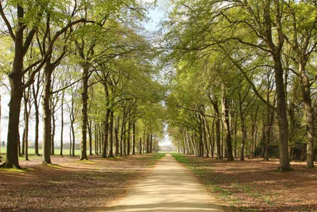 Trage Tocht Leersum Doorn Hoogtepunten Landgoed Broekhuizen