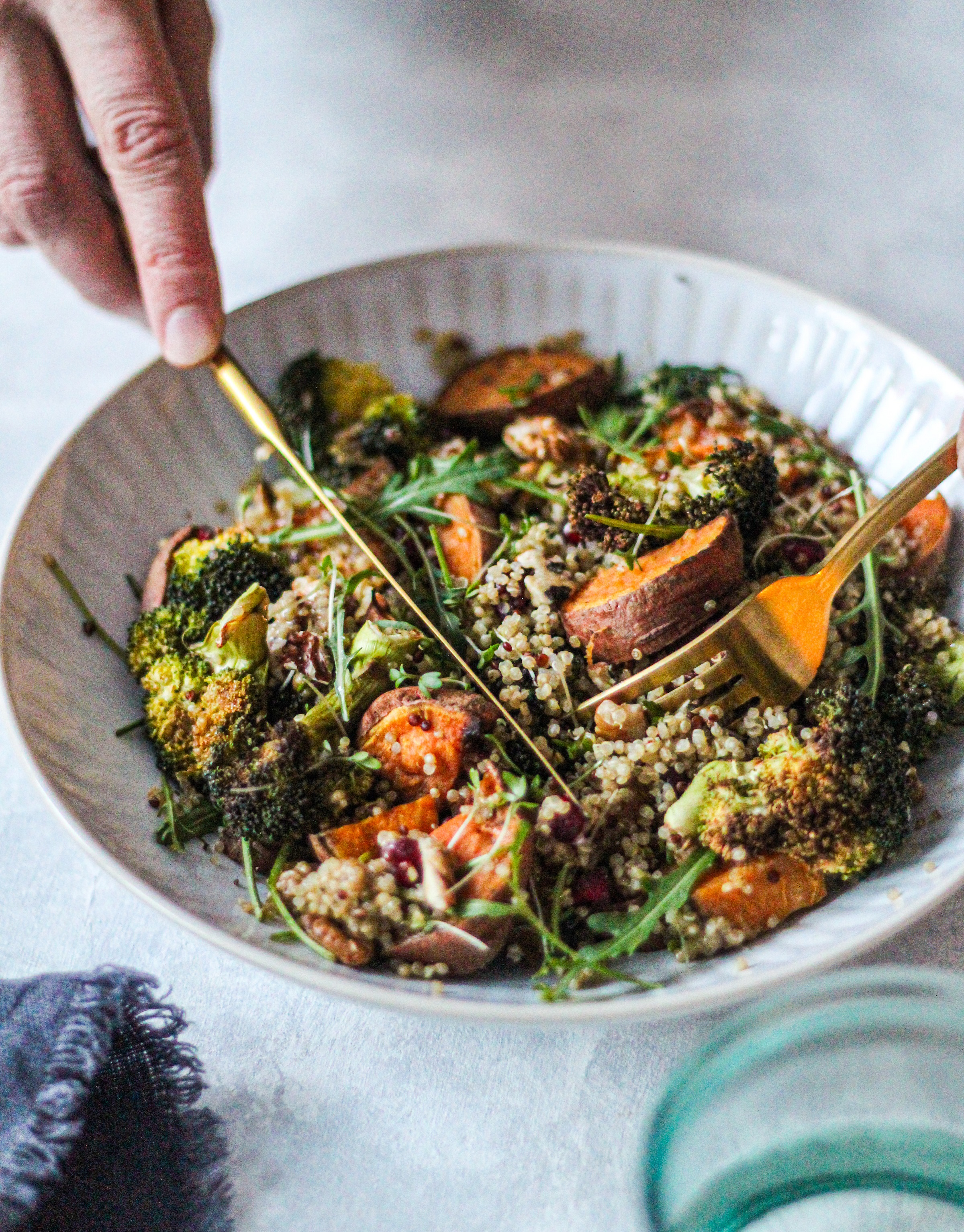 Header CR | /quinoa-salade