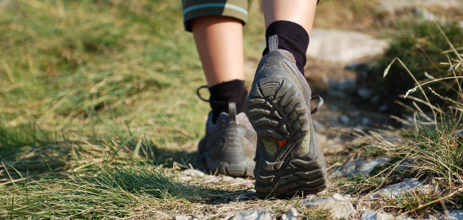 Header | /wandelvoordeelpas-wandelevenementen-vlaanderen