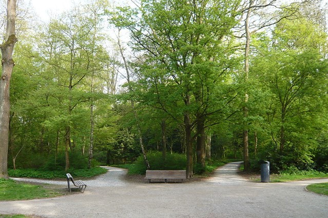 Haarlemmerhout viersprong