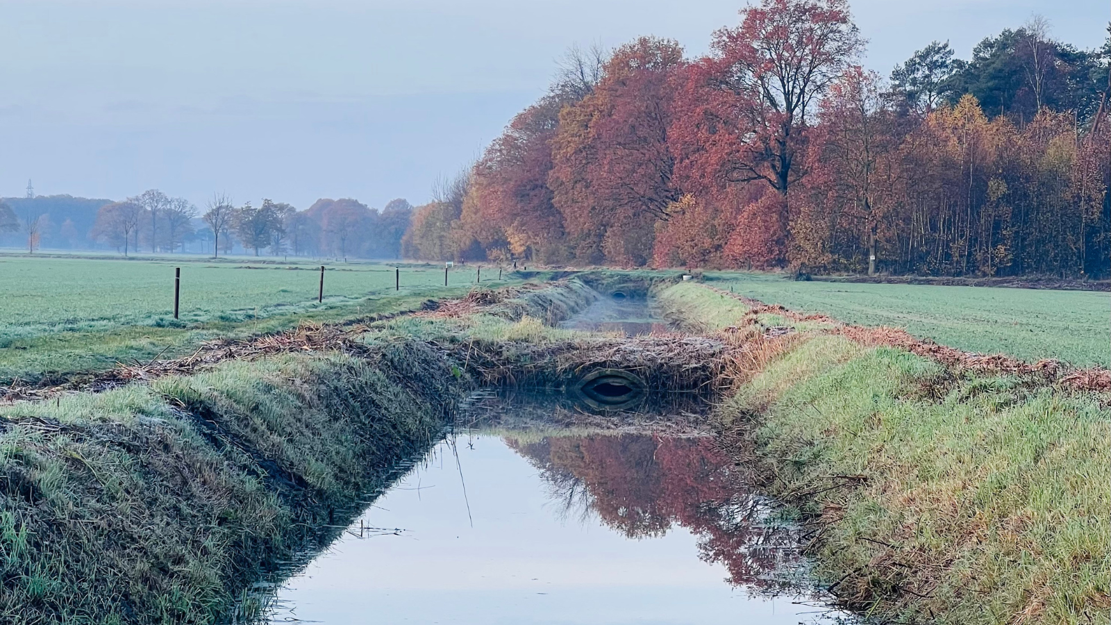 ©Lianne.buitengeluk