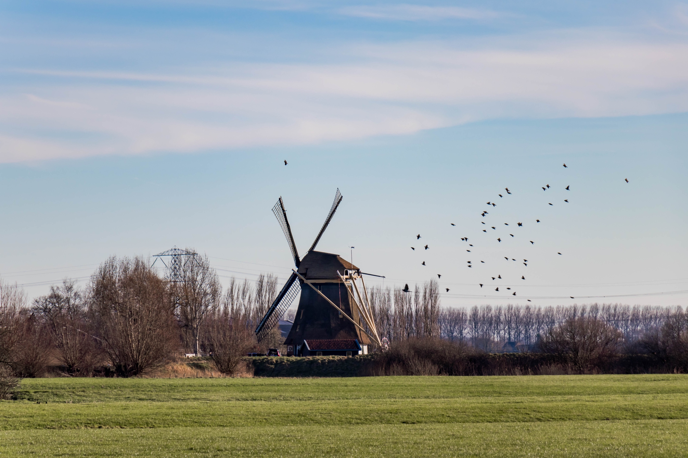 Molen bij Abcoude