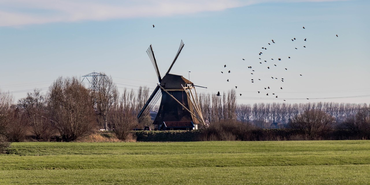 Molen bij Abcoude