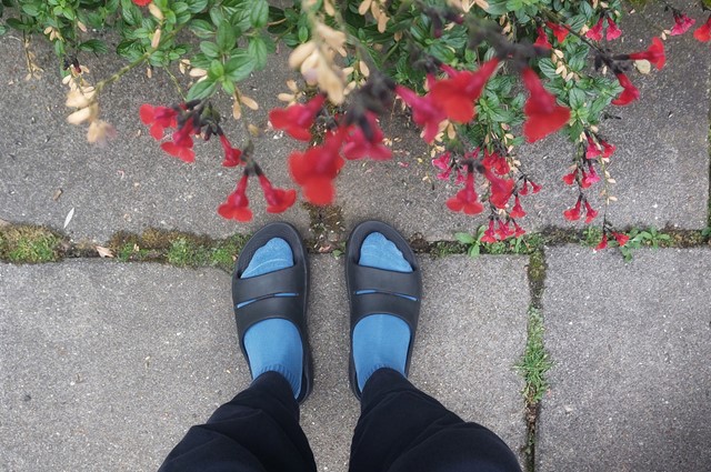 OOFOS OOahh Slide Black met sokken.