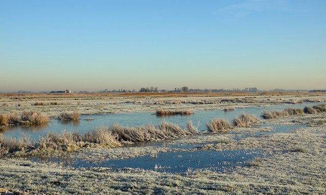 Winters landschap