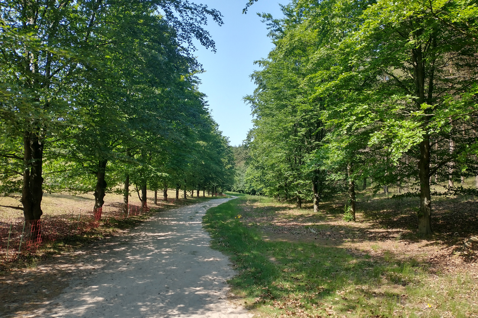 zandpad door vallei op Landgoed De Paltz