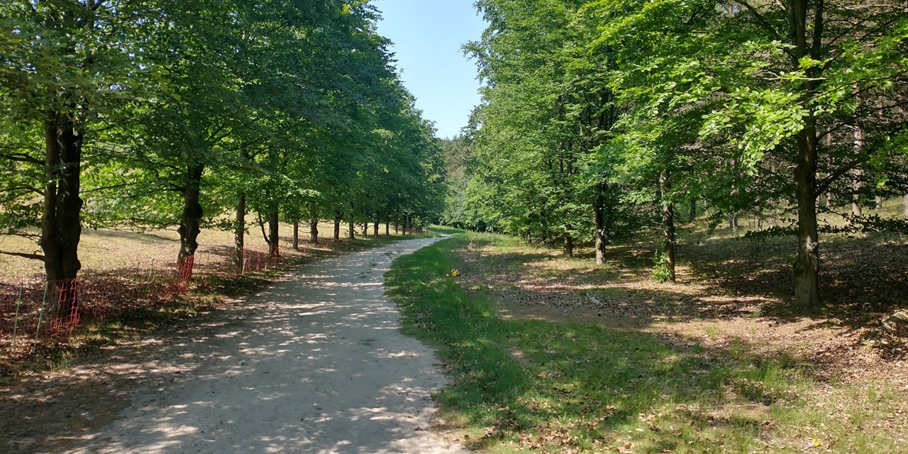 zandpad door vallei op Landgoed De Paltz