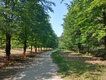 zandpad door vallei op Landgoed De Paltz