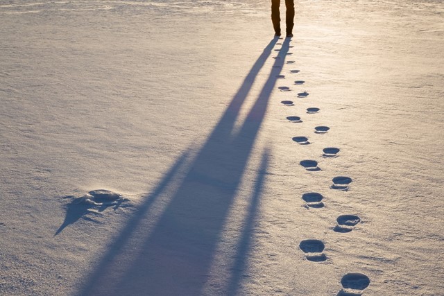 Voetstappen in de sneeuw