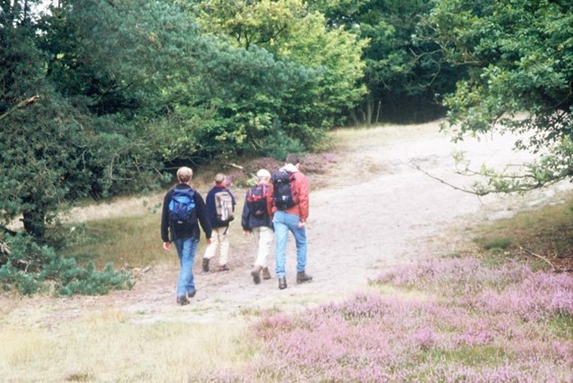 Groepje lopend over de heide
