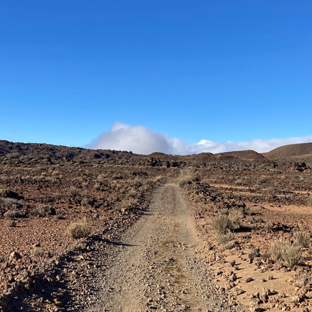 afbeelding van een stenenpad op Tenerife.