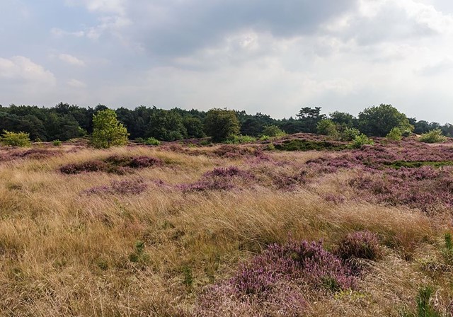 Afbeelding 2 |  Wandelroutes bij steden Assen