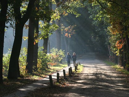 afbeelding van twee wandelaars op Landgoed De Eese in de zon.