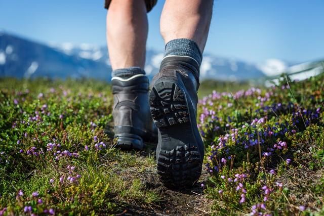 wandelschoenen van een wandelaar in de natuur.