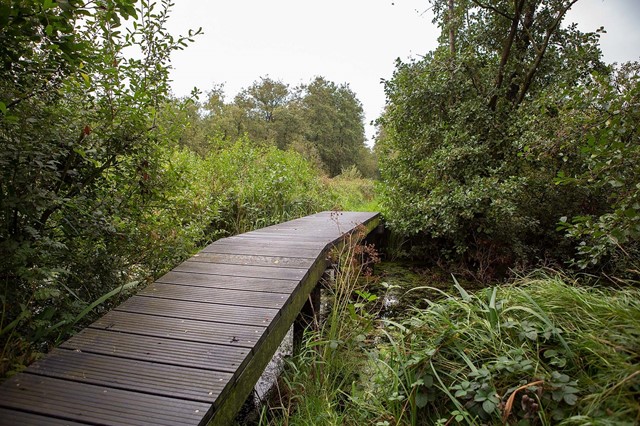 Kiersche Wijdepad (Overijssel)
