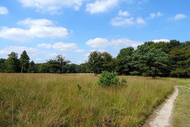 Het Deelense Veld In Nationaal Park De Hoge Veluwe