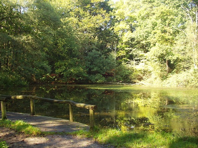 Afbeelding 2 | Wandelen in minder bekende natuurgebieden: Oost-Nederland