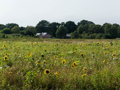 Header - Wandelen in Bronckhorst de wandelgemeente van het jaar