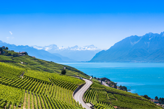De 8 Mooiste Wandelplekken In Zwitserland Wandelen Door De Wijngaarden Van Lavaux