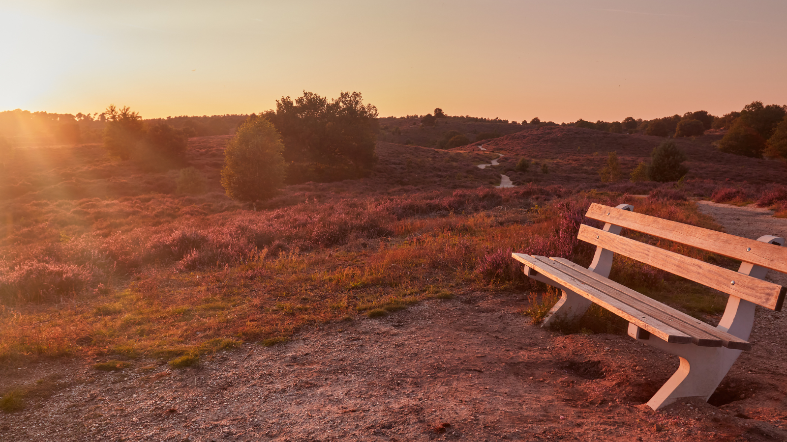 Trage Tocht Posbank Veluwezoom