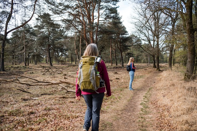Wandelen in de Achterhoek, het Scholtenpad