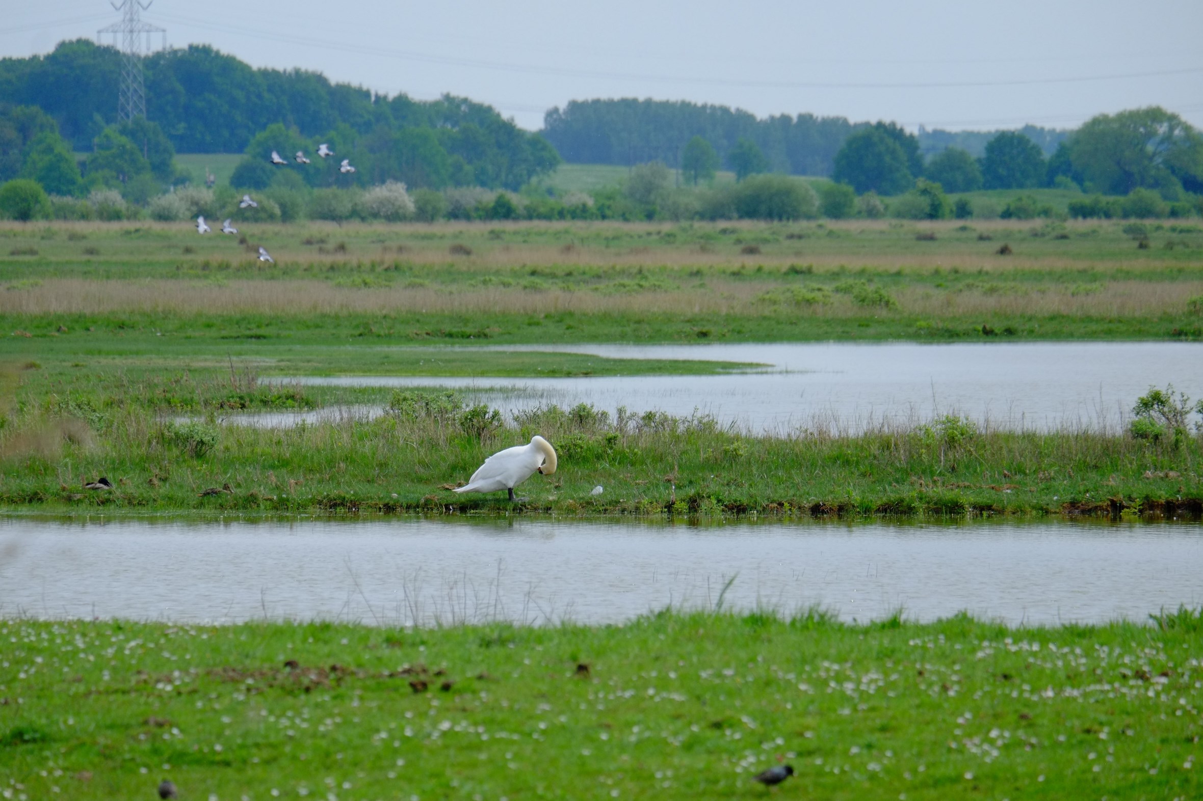 Header | De favoriete wandelroutes van...Lydia Waarts