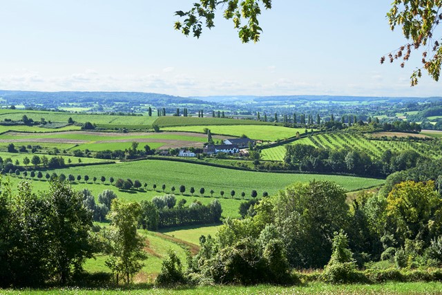 Wandelroute Seven Summits 3 Limburg